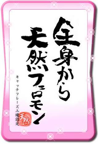 キャッチフレーズ！