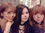 新メンバー♪