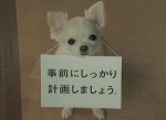 1月4日(土)