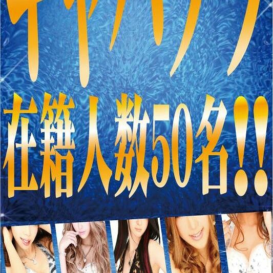 9月8日【火曜日】