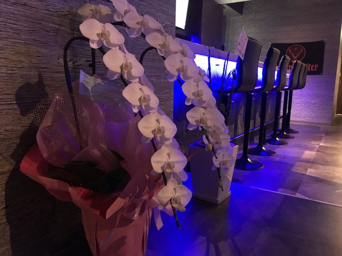 お花頂きました💐