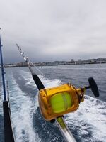 トローリングに…
