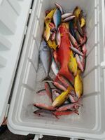 船釣りにて