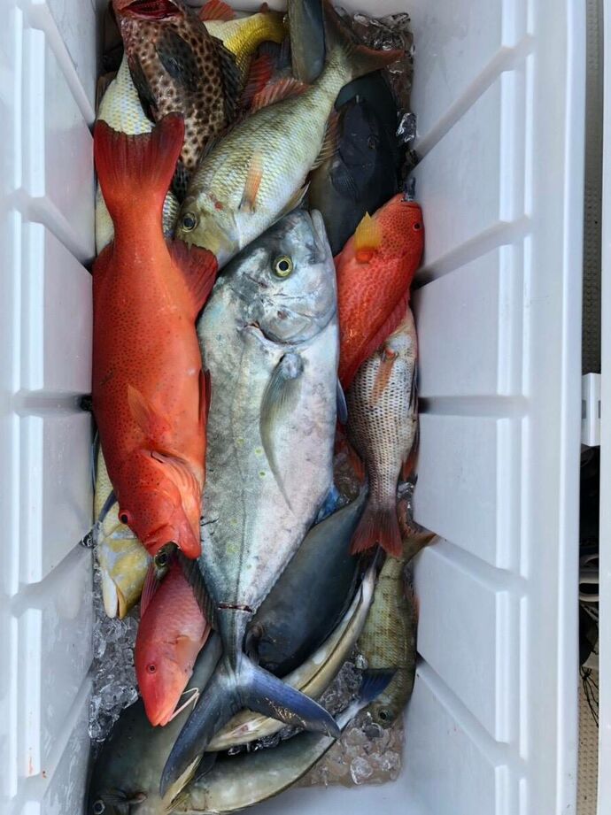 沖釣釣果！