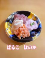 彩りまぐろ・サ…