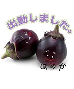 シュッキーン☆