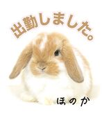 出勤しました。