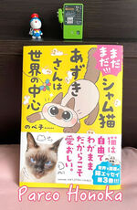シャム猫あずき…