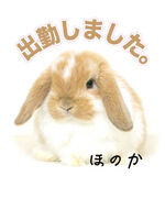 出勤しました。