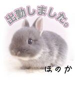 ほのか