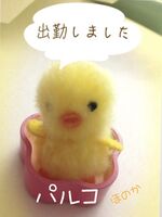 シュッキーン☆