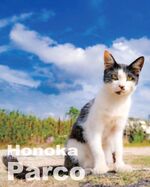 猫の日