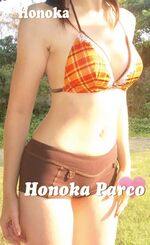 こんにちは。