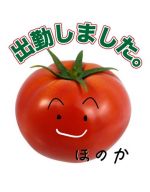 シュッキーン☆