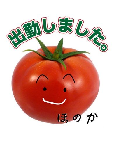 シュッキーン☆
