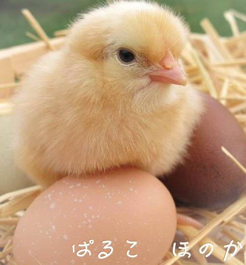 金曜日のご来店ありがとうございました。