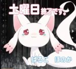 土曜日終了です…