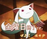 金曜日終了です…