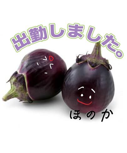 シュッキーン☆