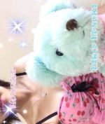 本日
