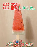 �V���b�L�[����