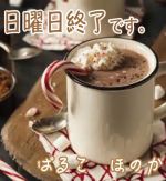日曜日終了です…