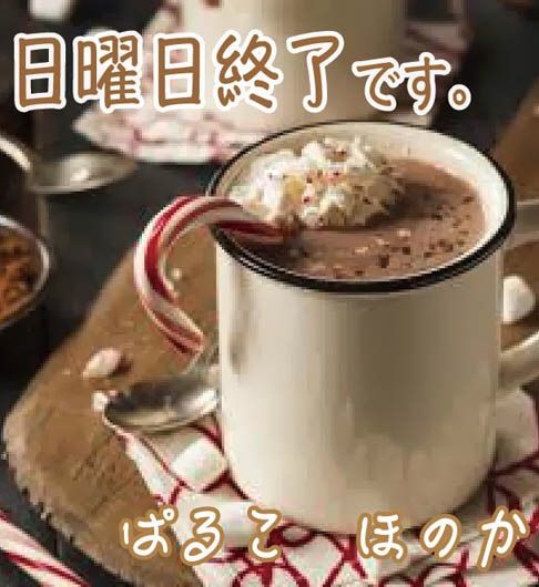 日曜日終了です。