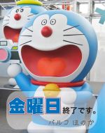 金曜日終了です…