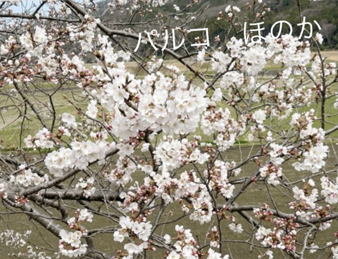 久しぶりの