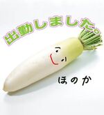 シュッキーン☆