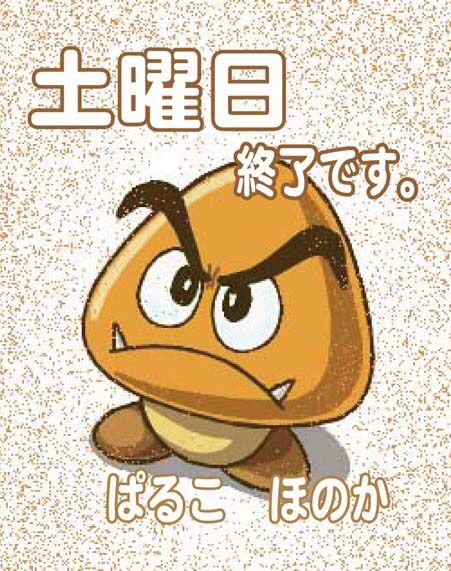 土曜日終了です。