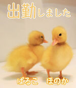 ほのか