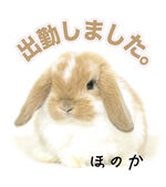 ほのか