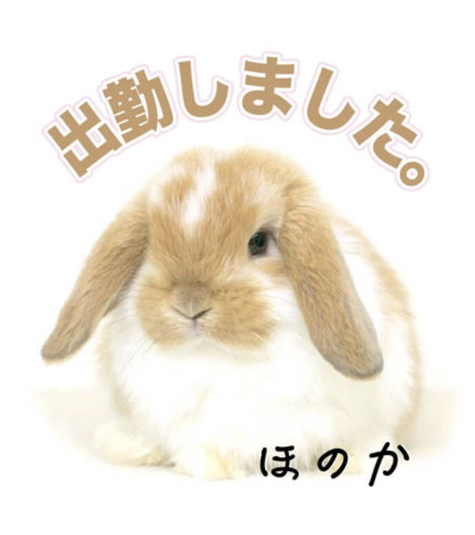 シュッキーン☆