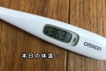 本日の体温♬︎♡