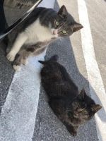 昨日のお礼