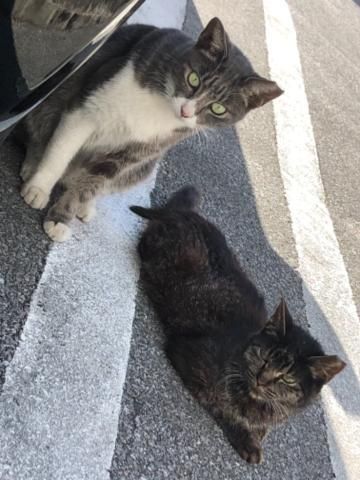 昨日のお礼