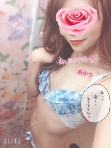 何してますか!?