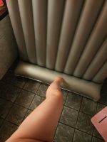 やほっ( ´∀`)