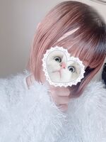 ココシャスの新…