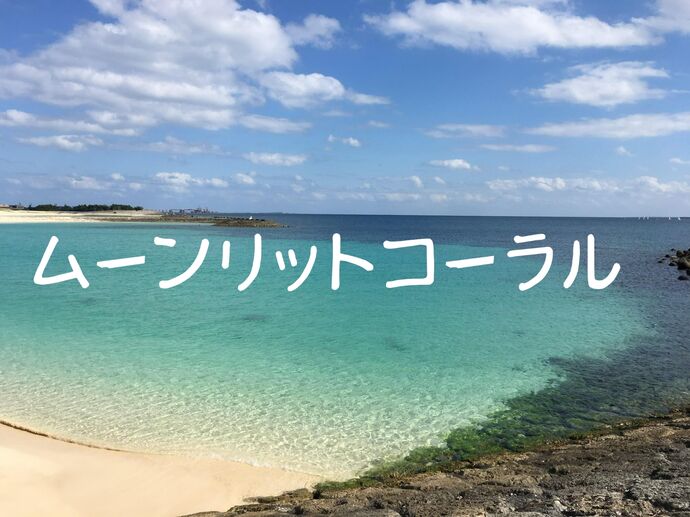 本日16時体験入店女子業界初