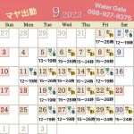 8/23水曜日のお…