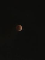 出勤しました♪