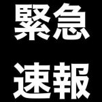 出逢いは突然に…