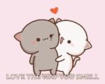 さくら❀
