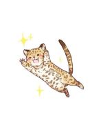 【アニマル診断…