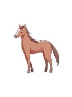 【アニマル診断…