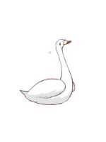 【アニマル診断…