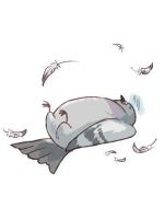 【アニマル診断…