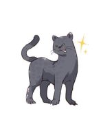 【アニマル診断…